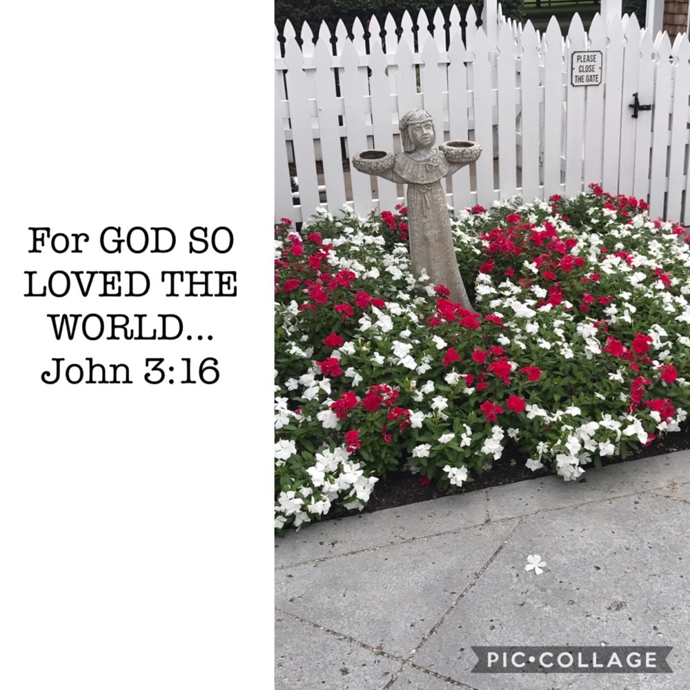 JOHN 3:16